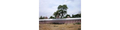 வீரமாங்குடி